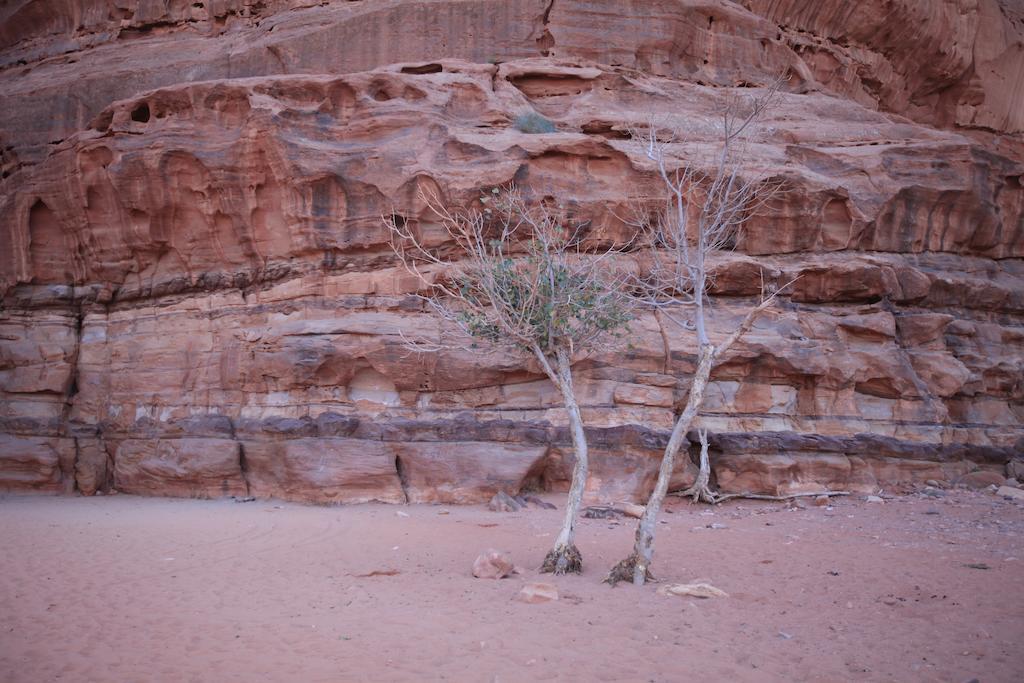 Bedouin Expedition Wadi Rum Eksteriør bilde