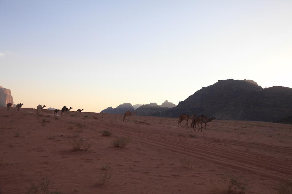 Bedouin Expedition Wadi Rum Eksteriør bilde