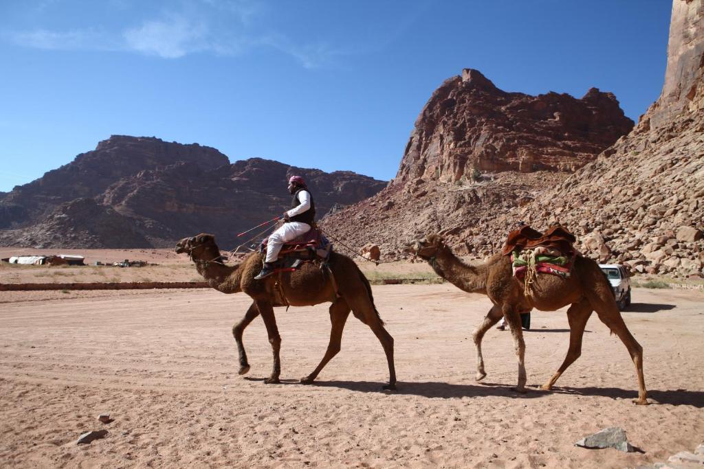 Bedouin Expedition Wadi Rum Eksteriør bilde