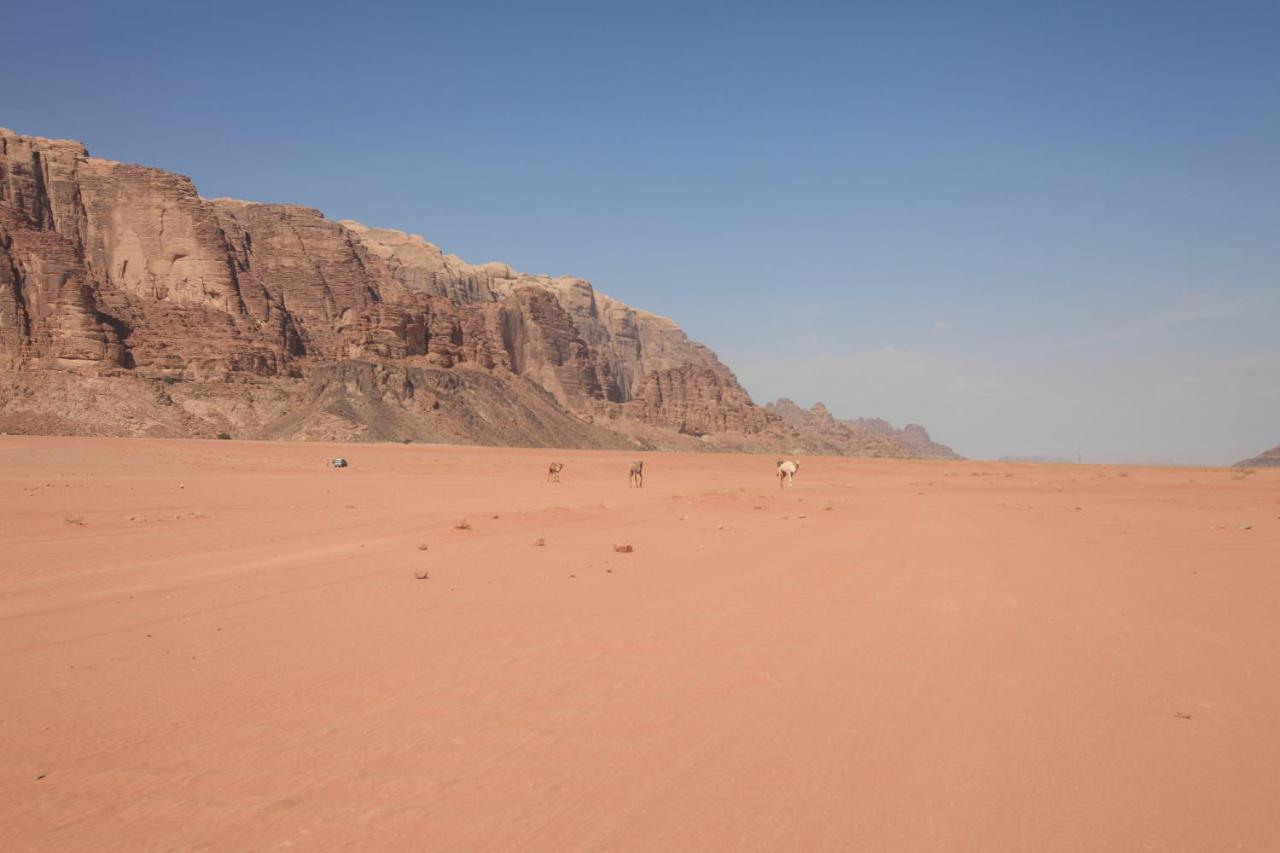 Bedouin Expedition Wadi Rum Eksteriør bilde